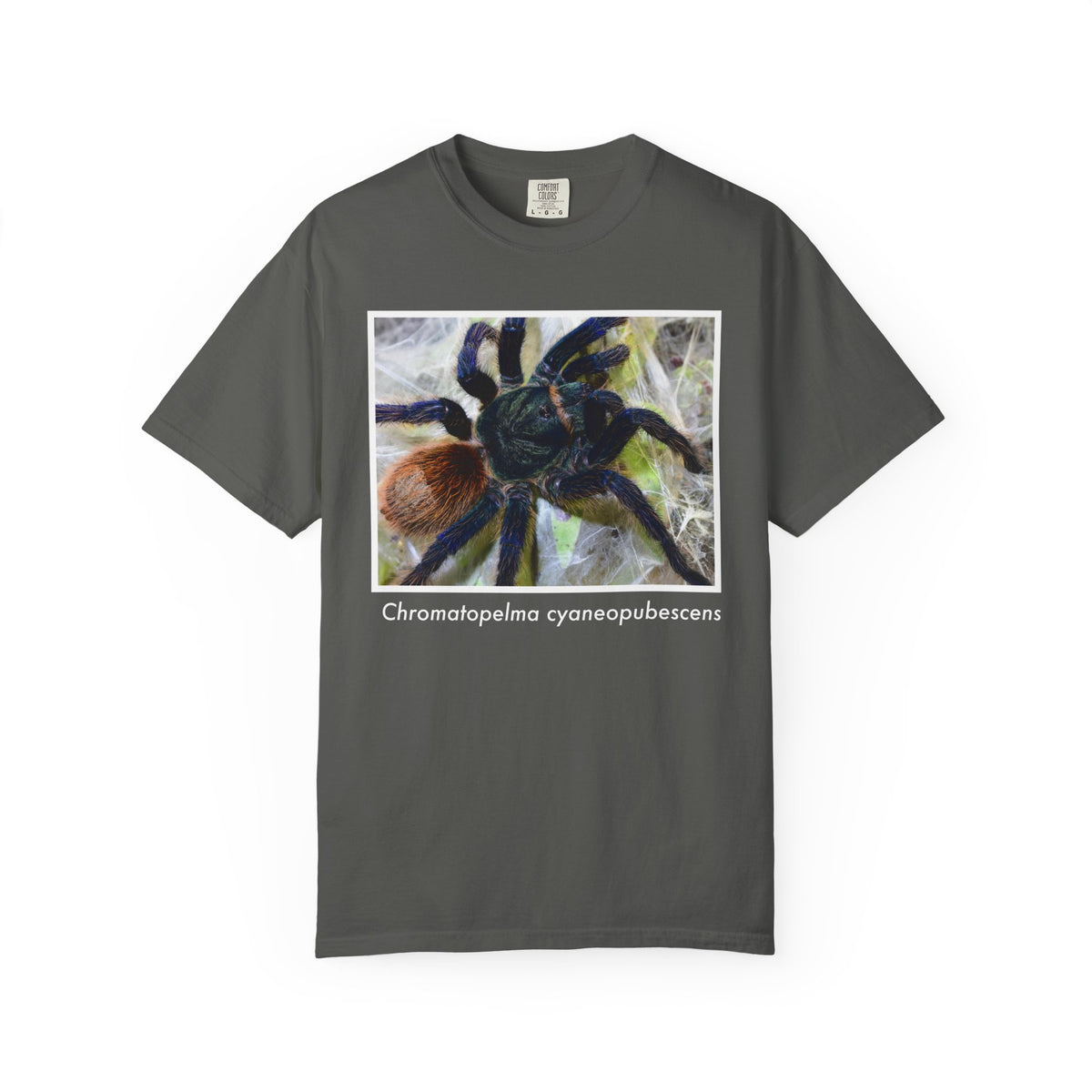 Unisex Chromatopelma cyaneopubescens T-shirt