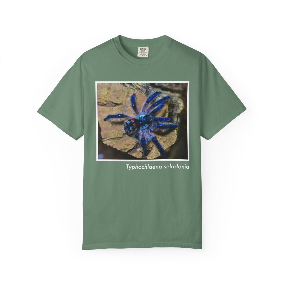 Unisex Typhochlaena seladonia T-shirt