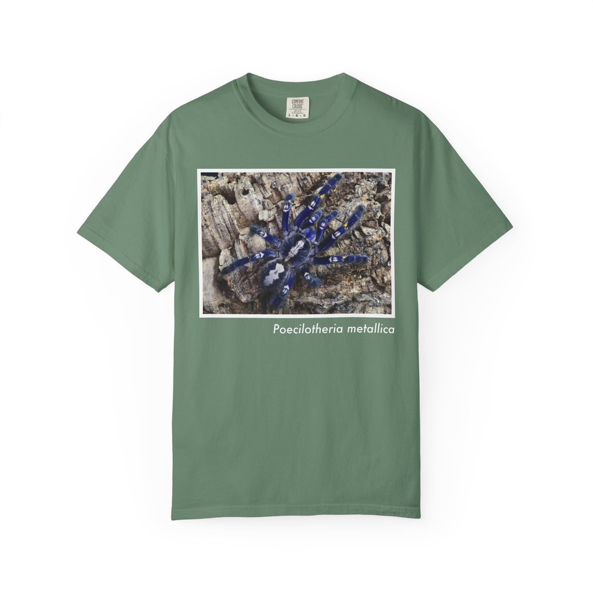 Unisex Poecilotheria metallica T-shirt