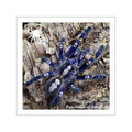 Poecilotheria metallica Vinyl Sticker