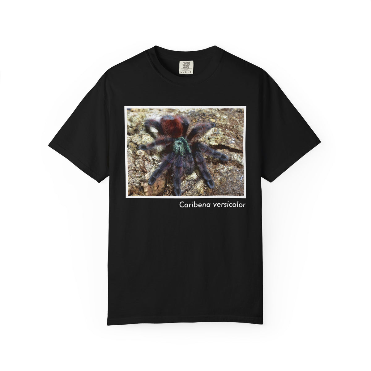 Unisex Caribena versicolor T-shirt