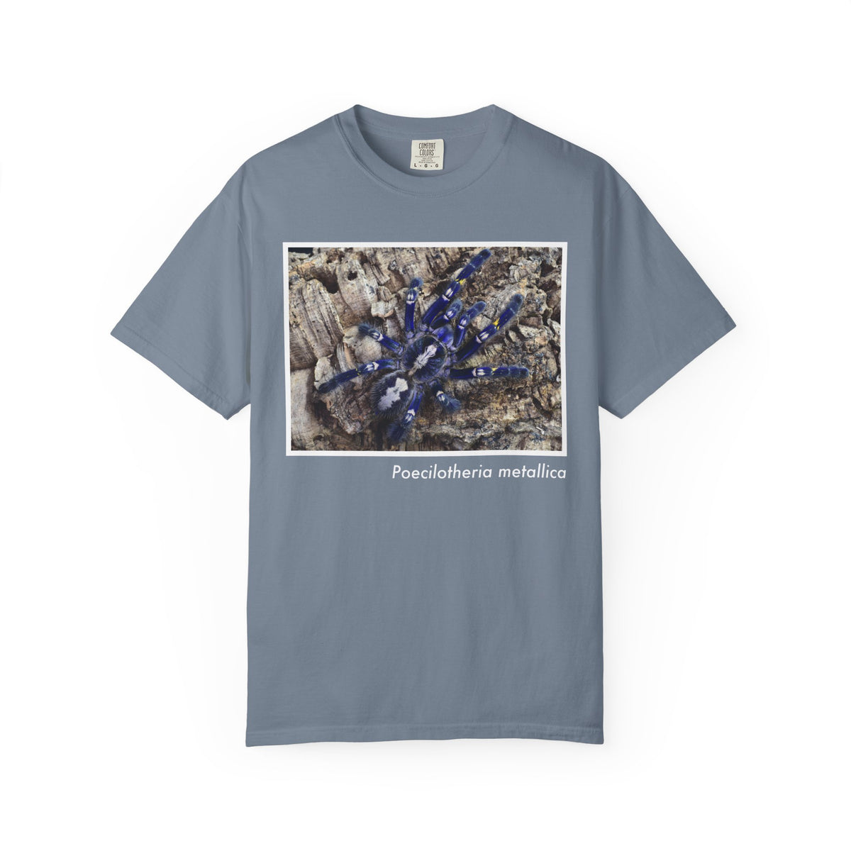 Unisex Poecilotheria metallica T-shirt