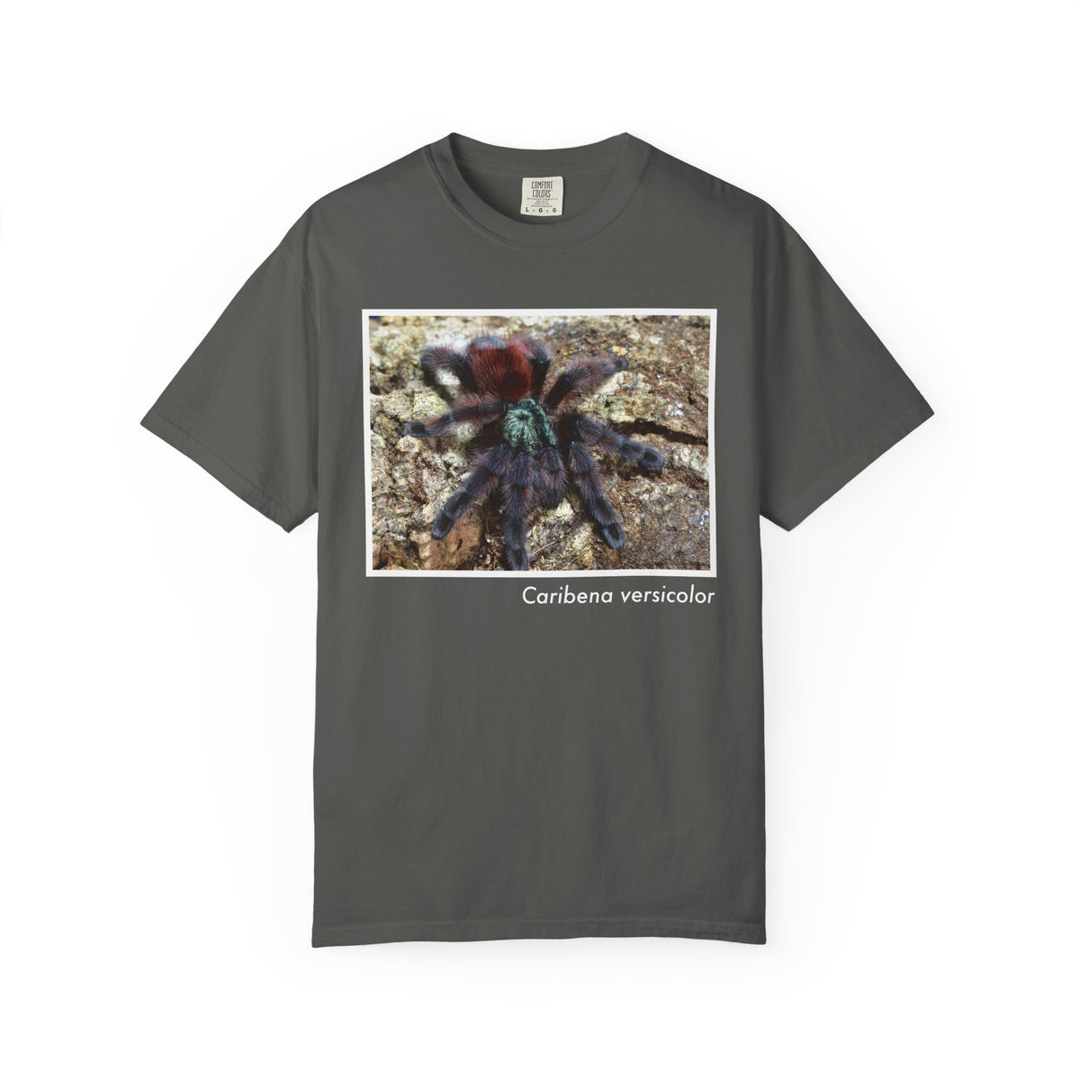 Unisex Caribena versicolor T-shirt
