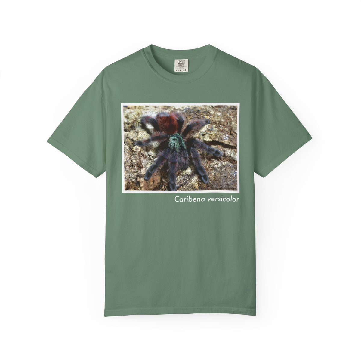 Unisex Caribena versicolor T-shirt