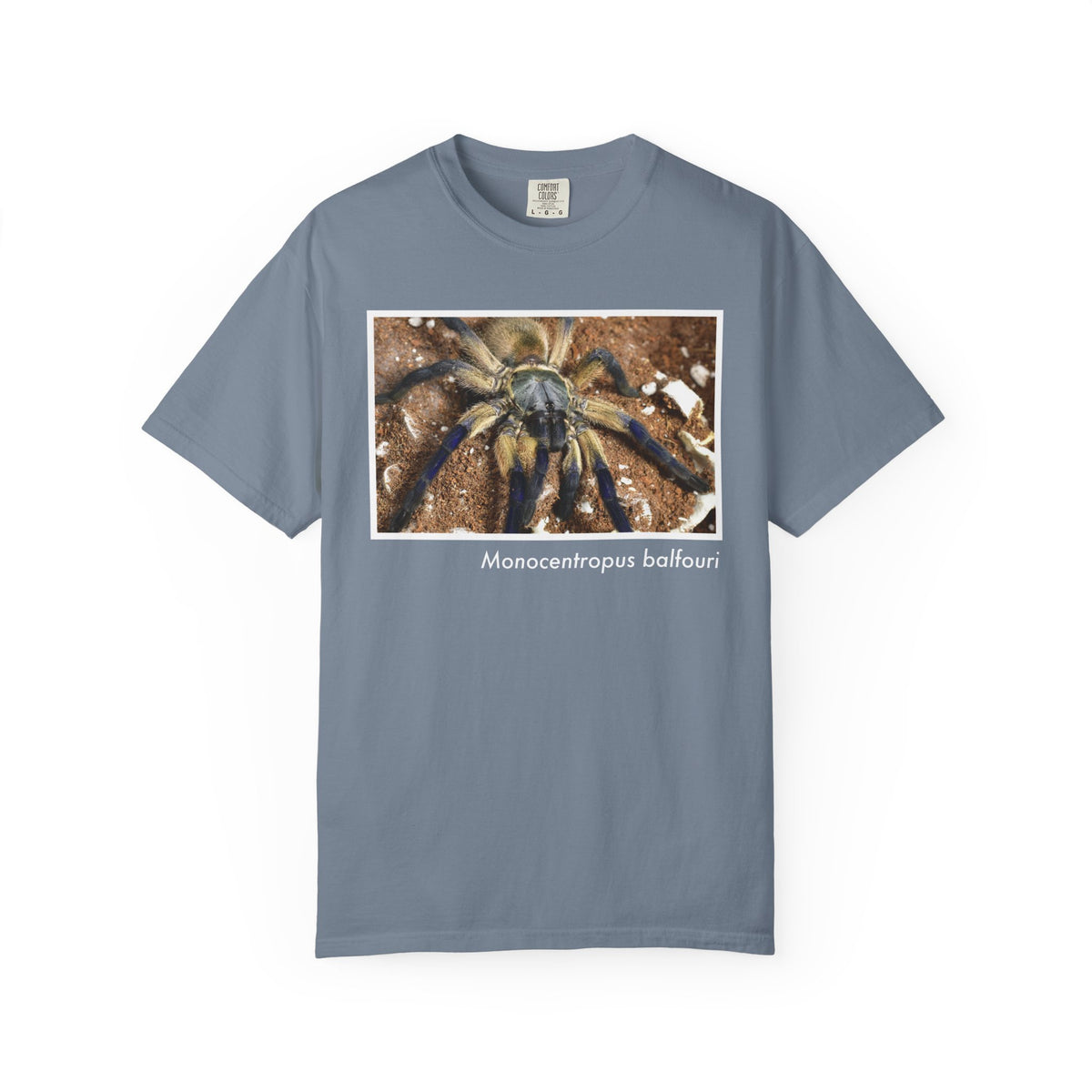 Unisex Monocentropus balfouri T-shirt