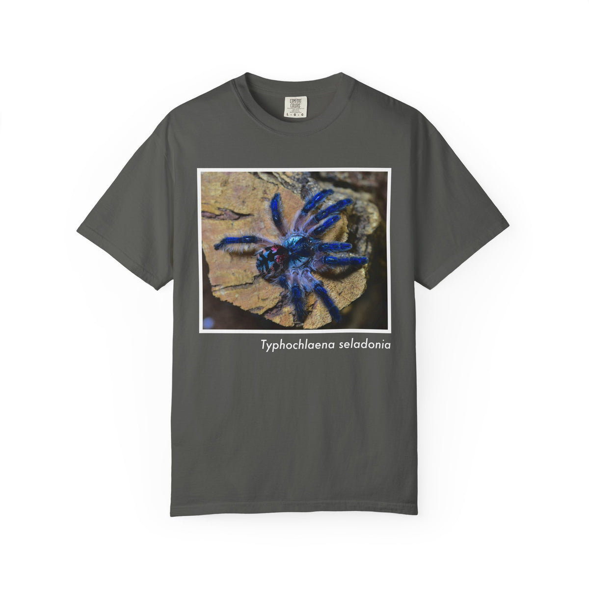Unisex Typhochlaena seladonia T-shirt