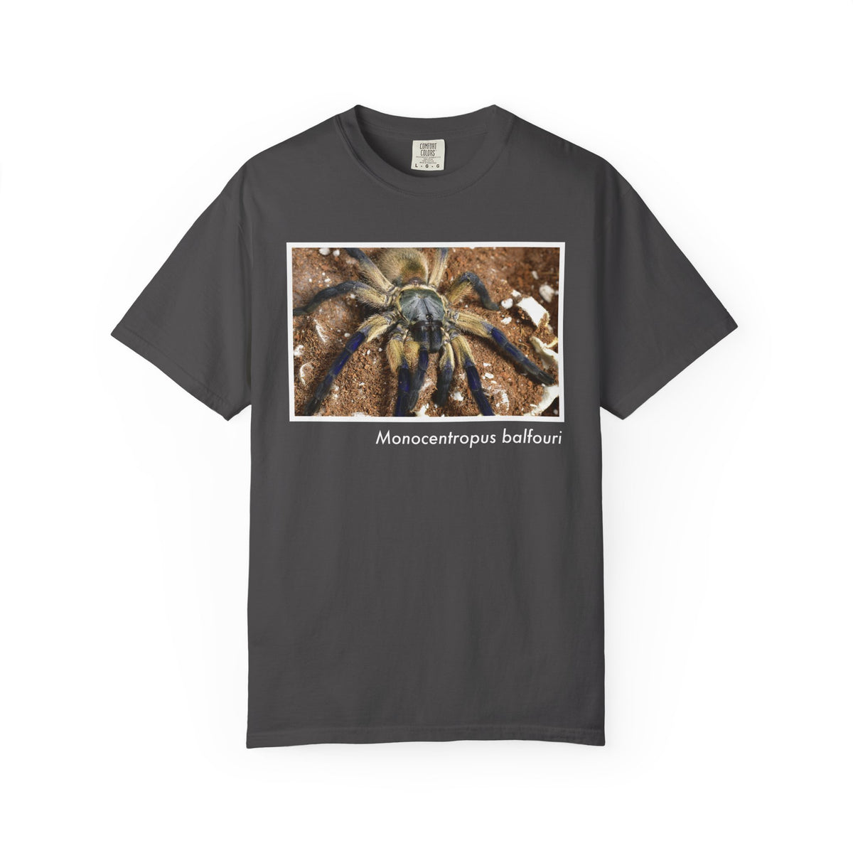 Unisex Monocentropus balfouri T-shirt