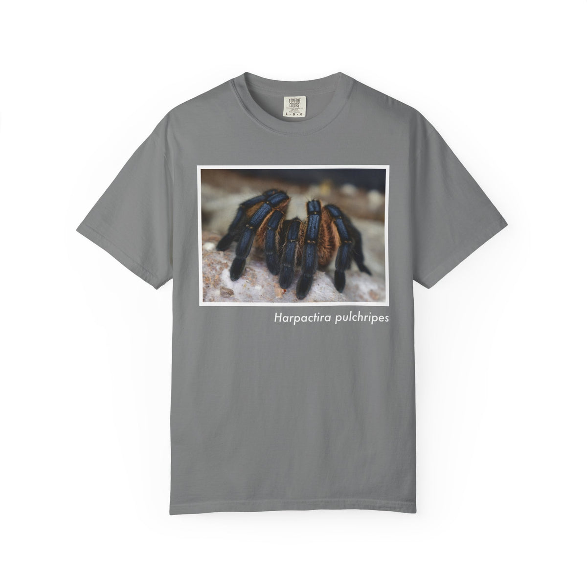 Unisex Harpactira pulchripes T-shirt