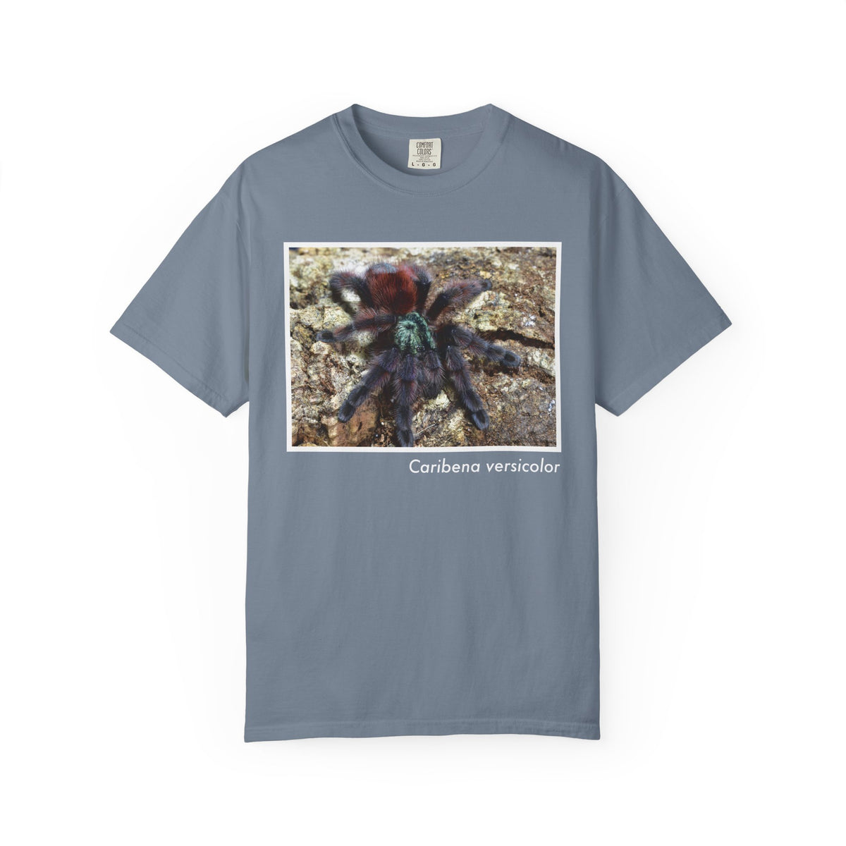 Unisex Caribena versicolor T-shirt
