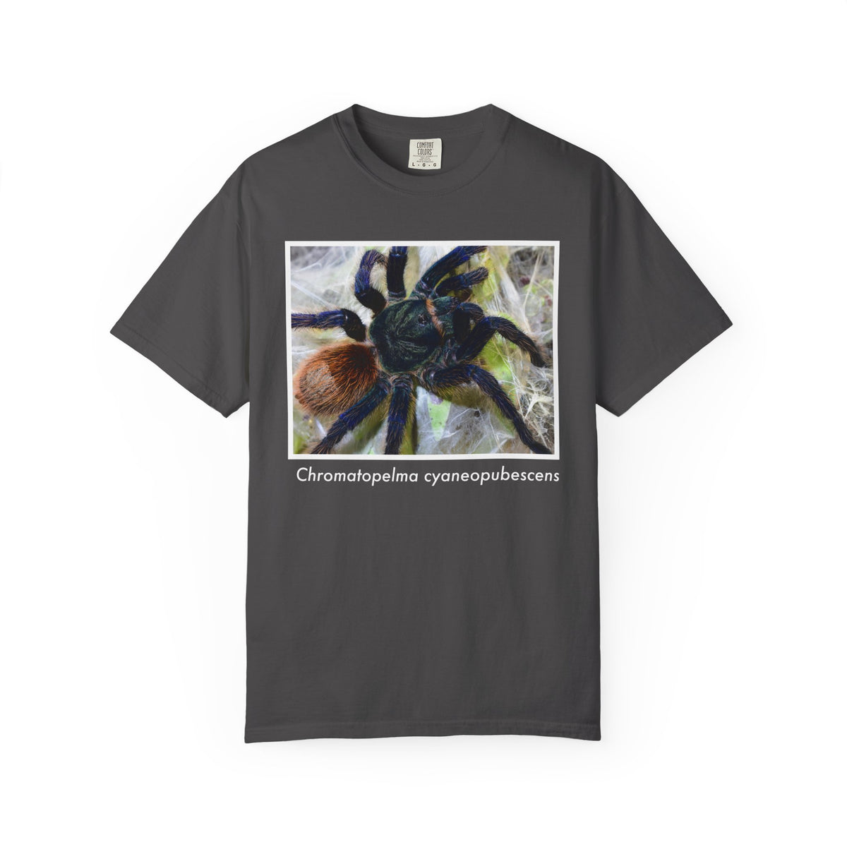 Unisex Chromatopelma cyaneopubescens T-shirt