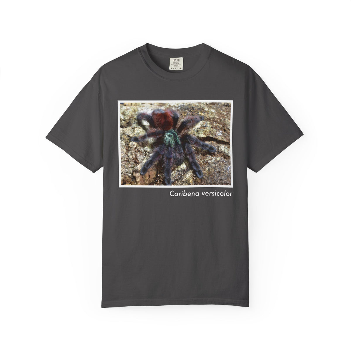 Unisex Caribena versicolor T-shirt