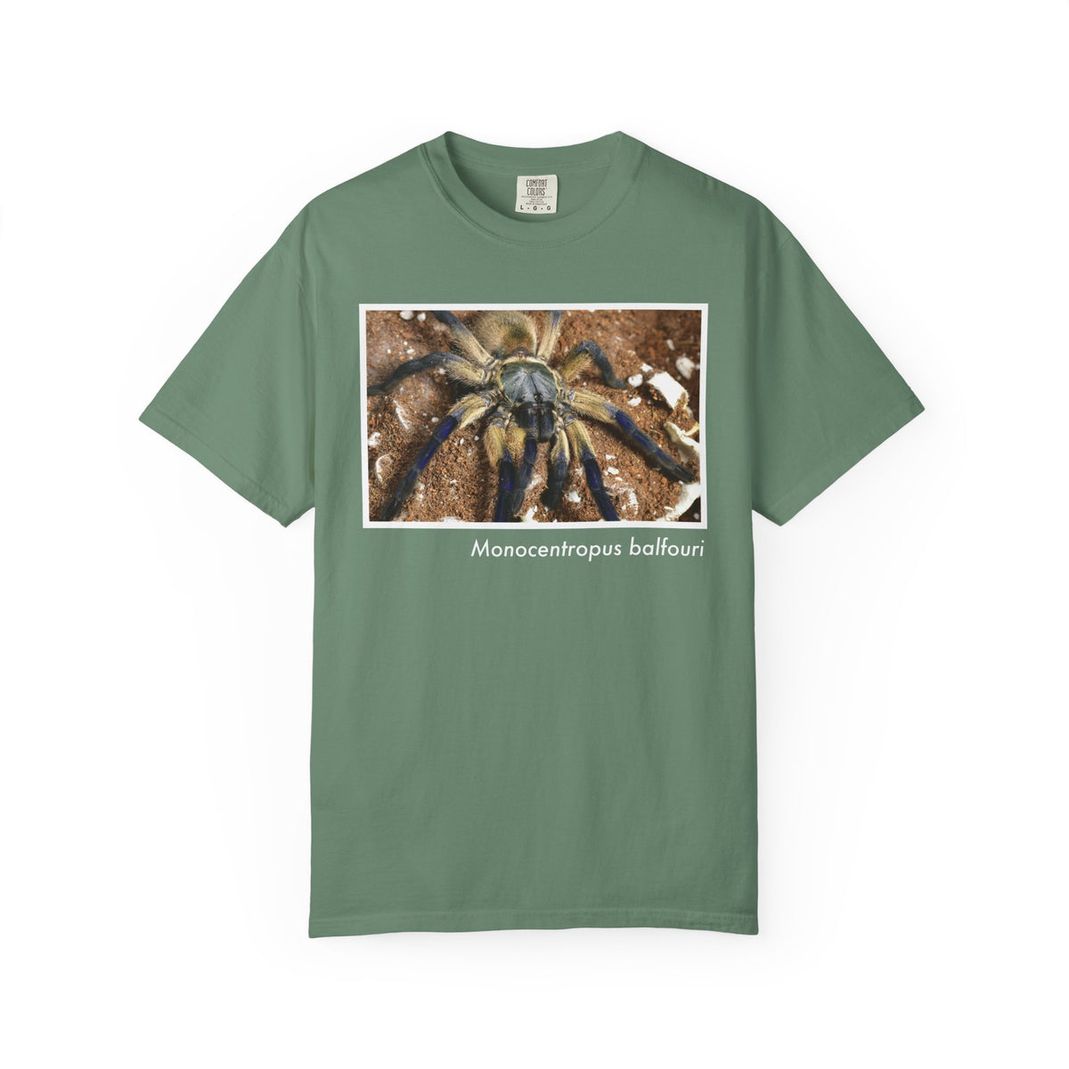 Unisex Monocentropus balfouri T-shirt