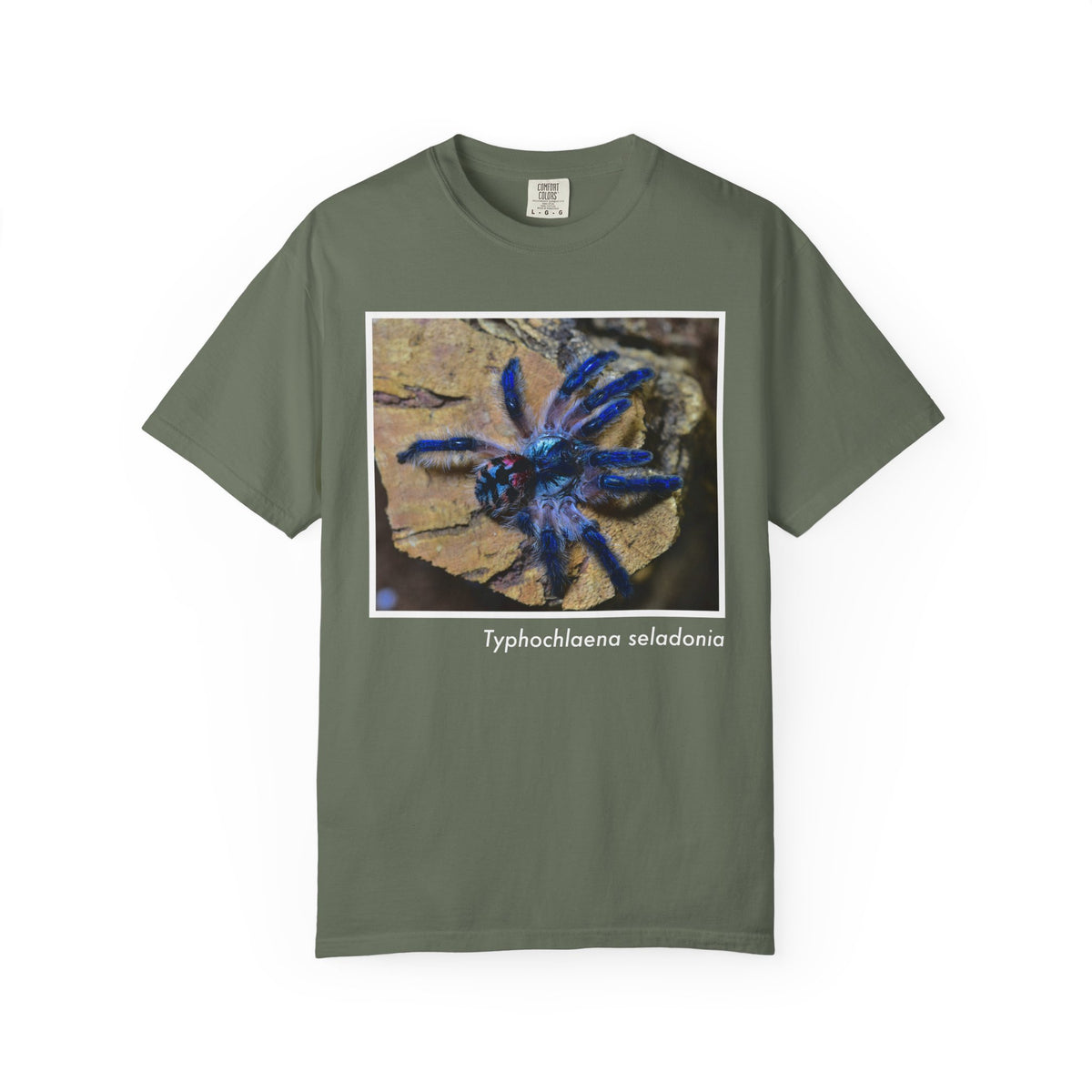 Unisex Typhochlaena seladonia T-shirt