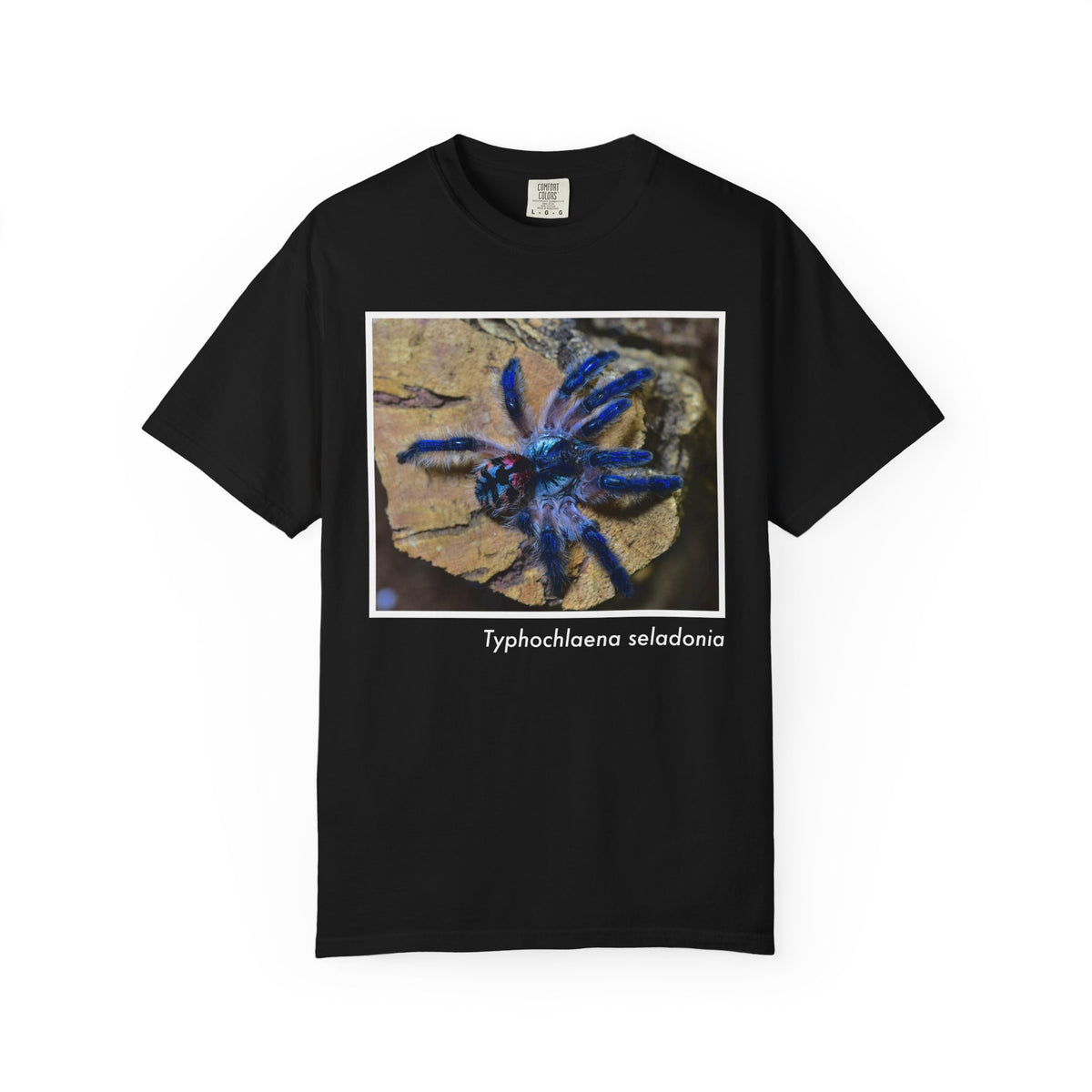 Unisex Typhochlaena seladonia T-shirt