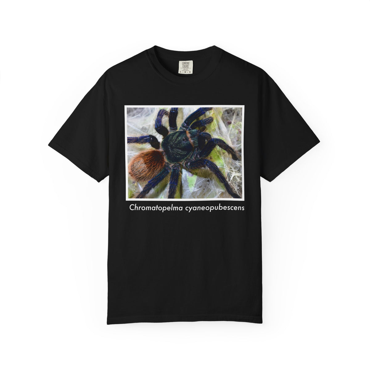 Unisex Chromatopelma cyaneopubescens T-shirt