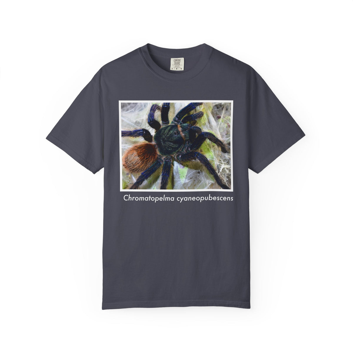 Unisex Chromatopelma cyaneopubescens T-shirt