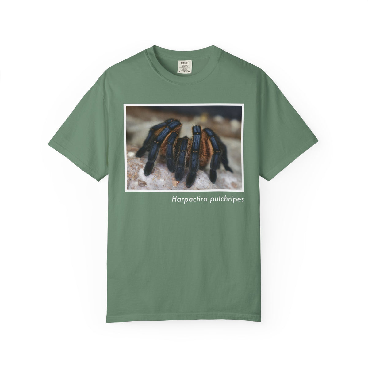 Unisex Harpactira pulchripes T-shirt