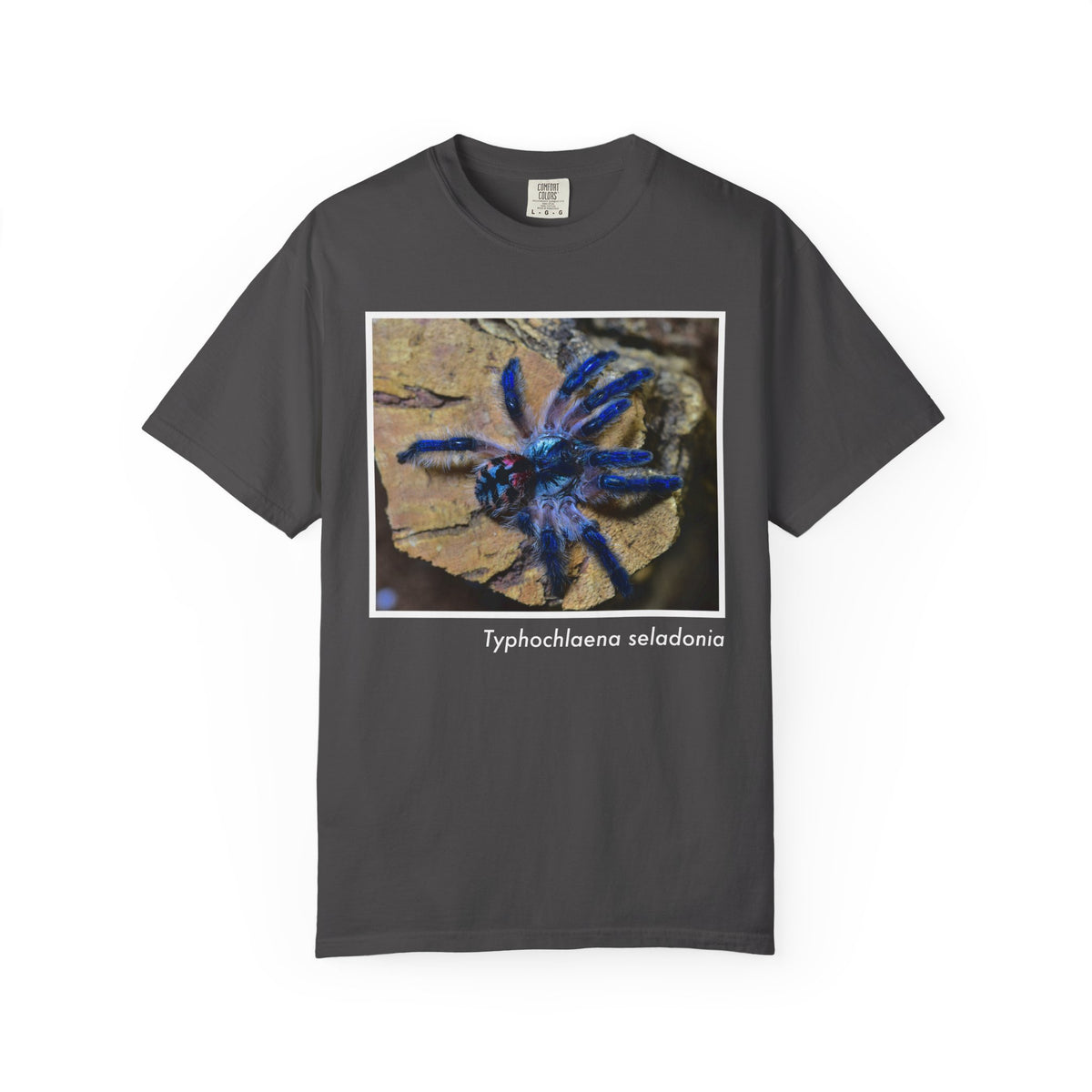 Unisex Typhochlaena seladonia T-shirt