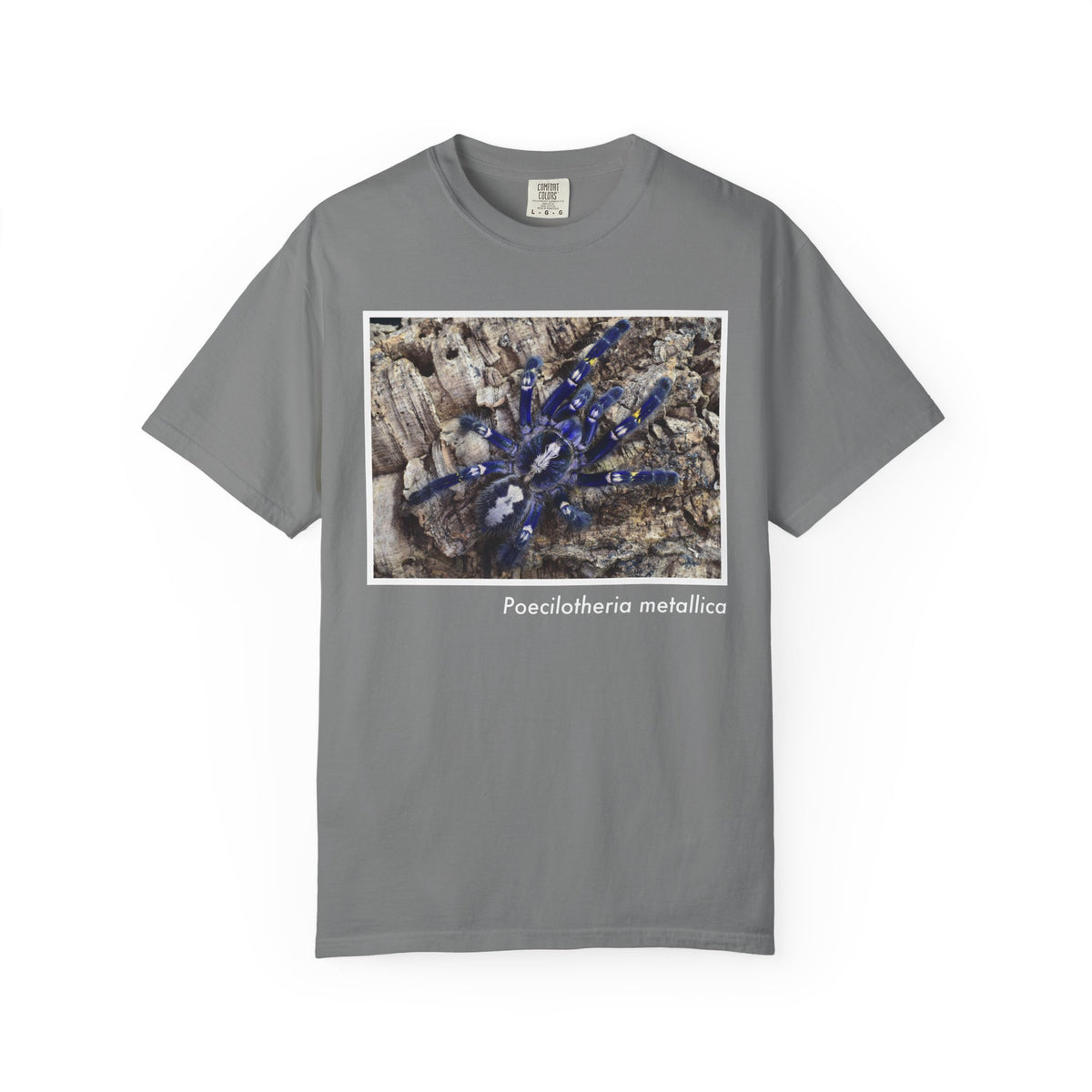 Unisex Poecilotheria metallica T-shirt