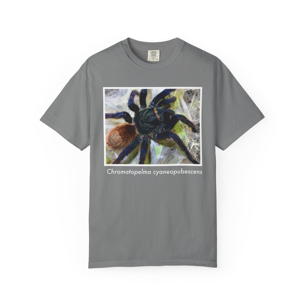 Unisex Chromatopelma cyaneopubescens T-shirt