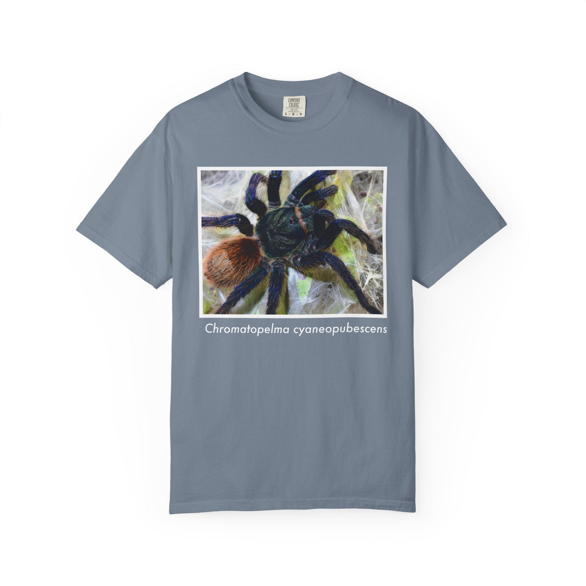 Unisex Chromatopelma cyaneopubescens T-shirt