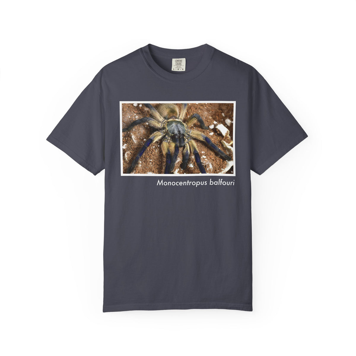 Unisex Monocentropus balfouri T-shirt