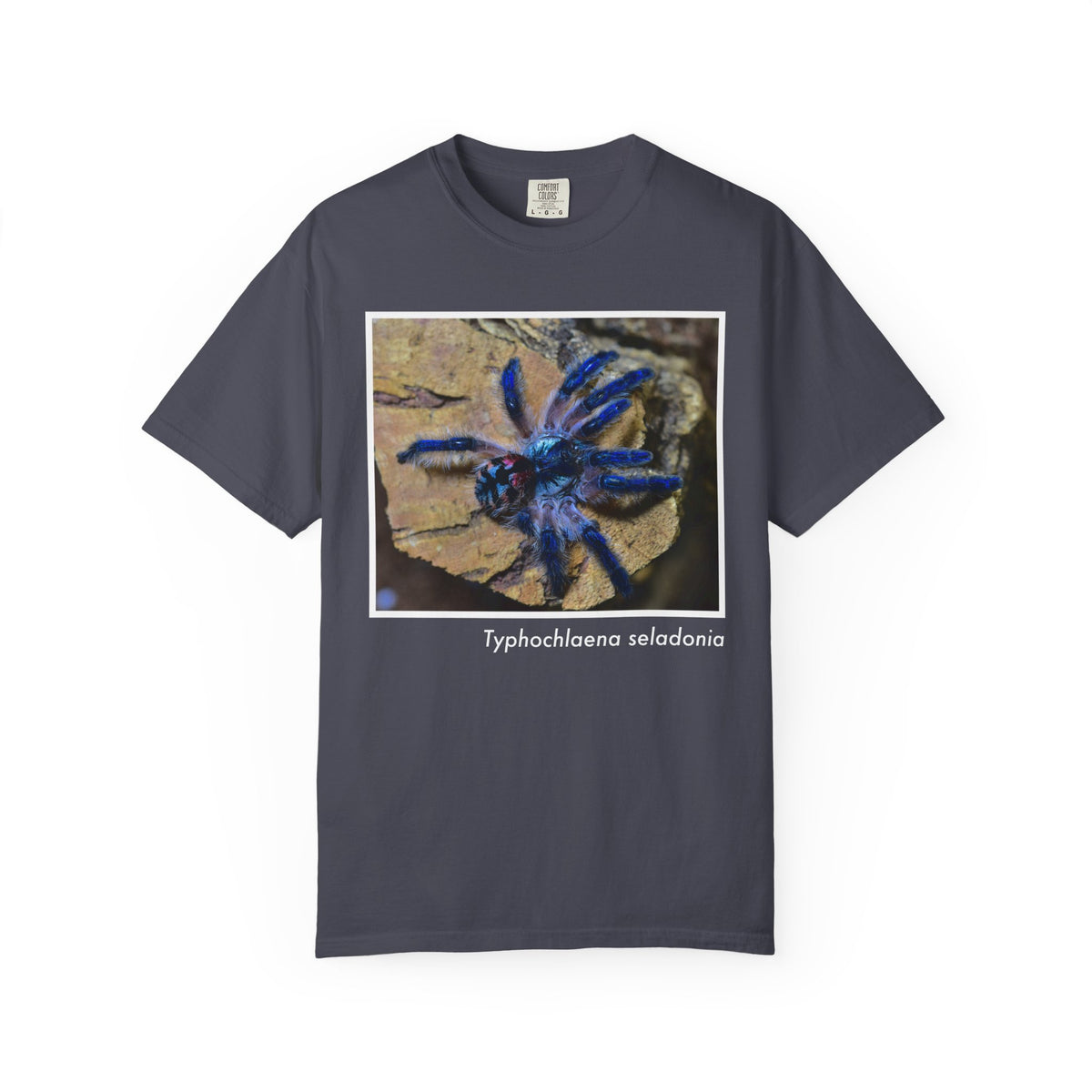 Unisex Typhochlaena seladonia T-shirt