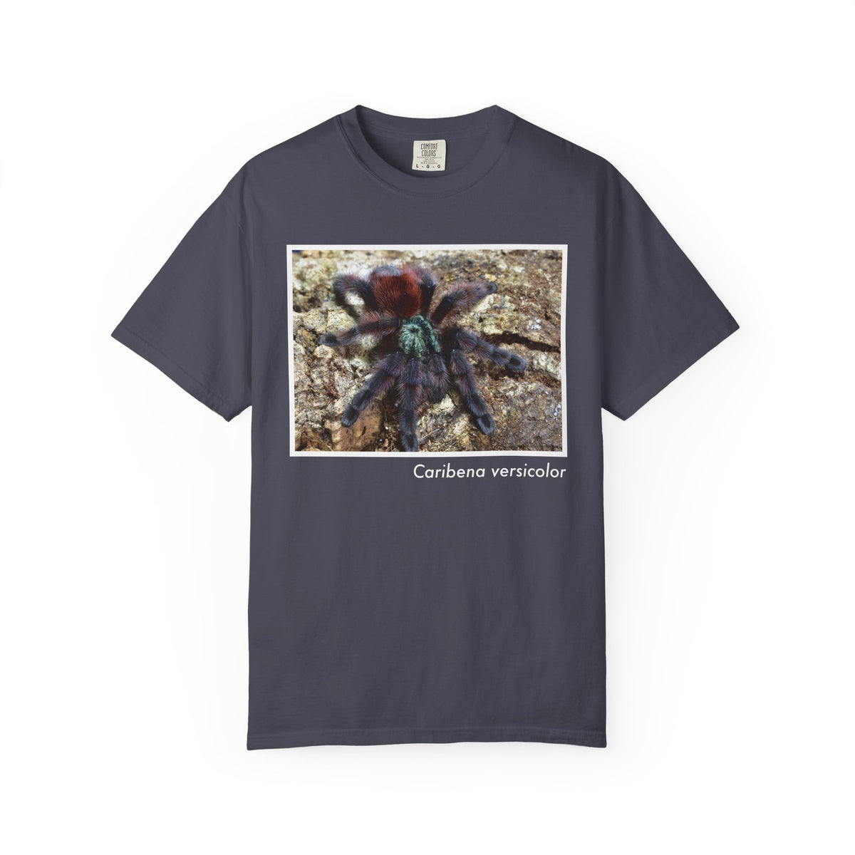 Unisex Caribena versicolor T-shirt