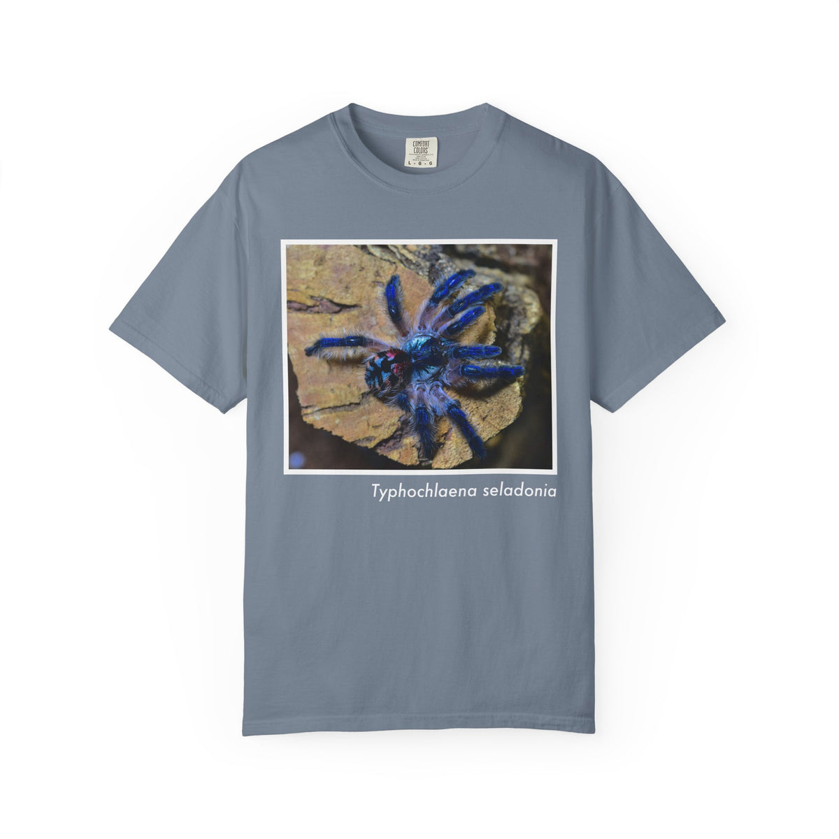Unisex Typhochlaena seladonia T-shirt