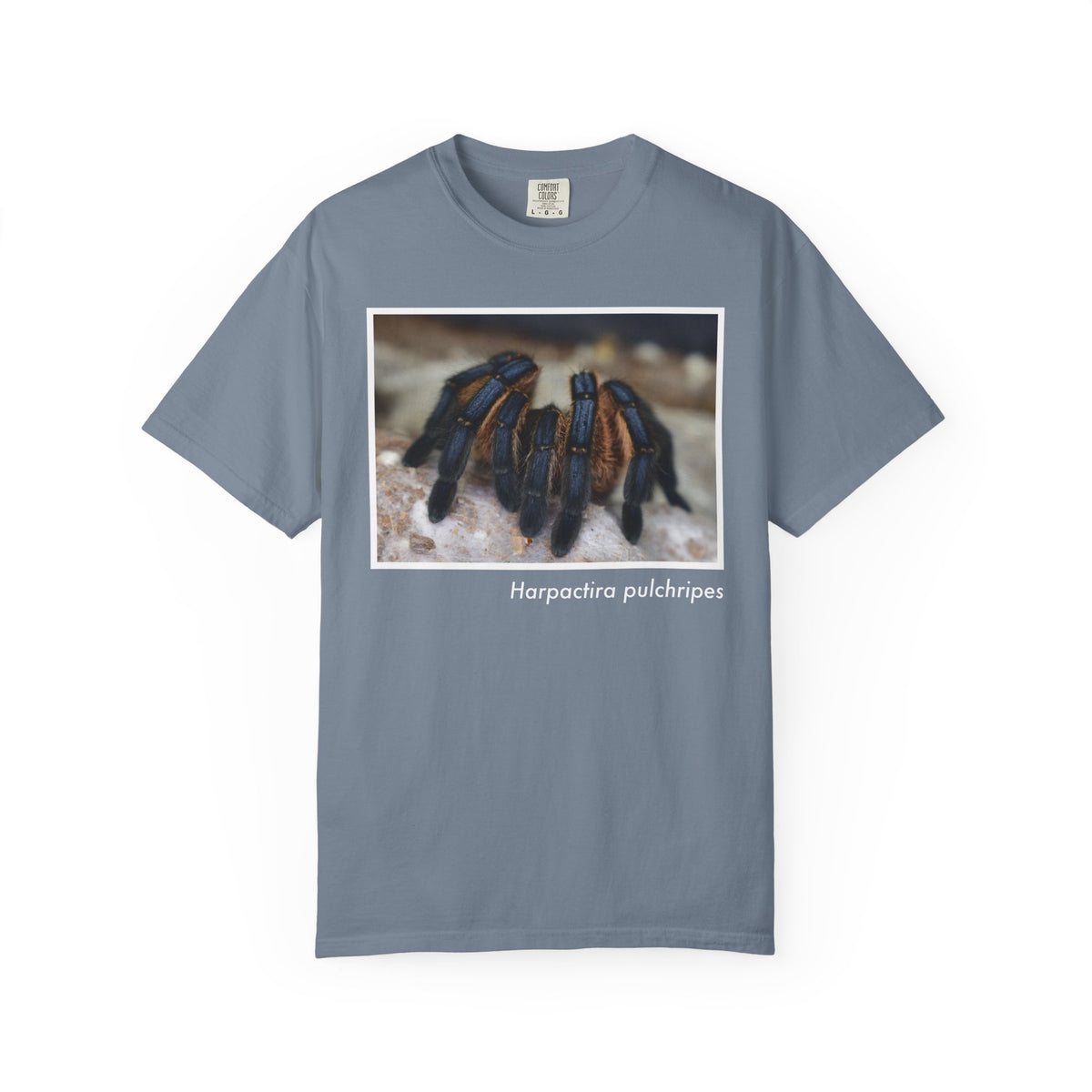Unisex Harpactira pulchripes T-shirt