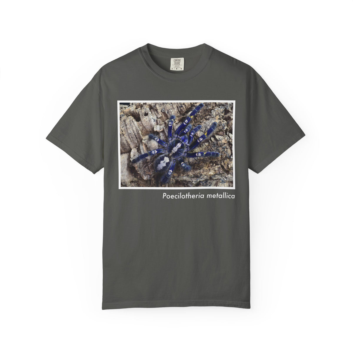 Unisex Poecilotheria metallica T-shirt