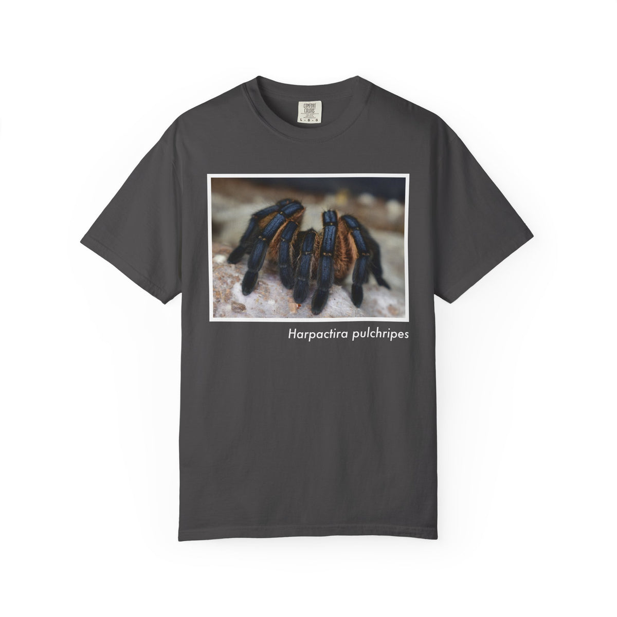 Unisex Harpactira pulchripes T-shirt
