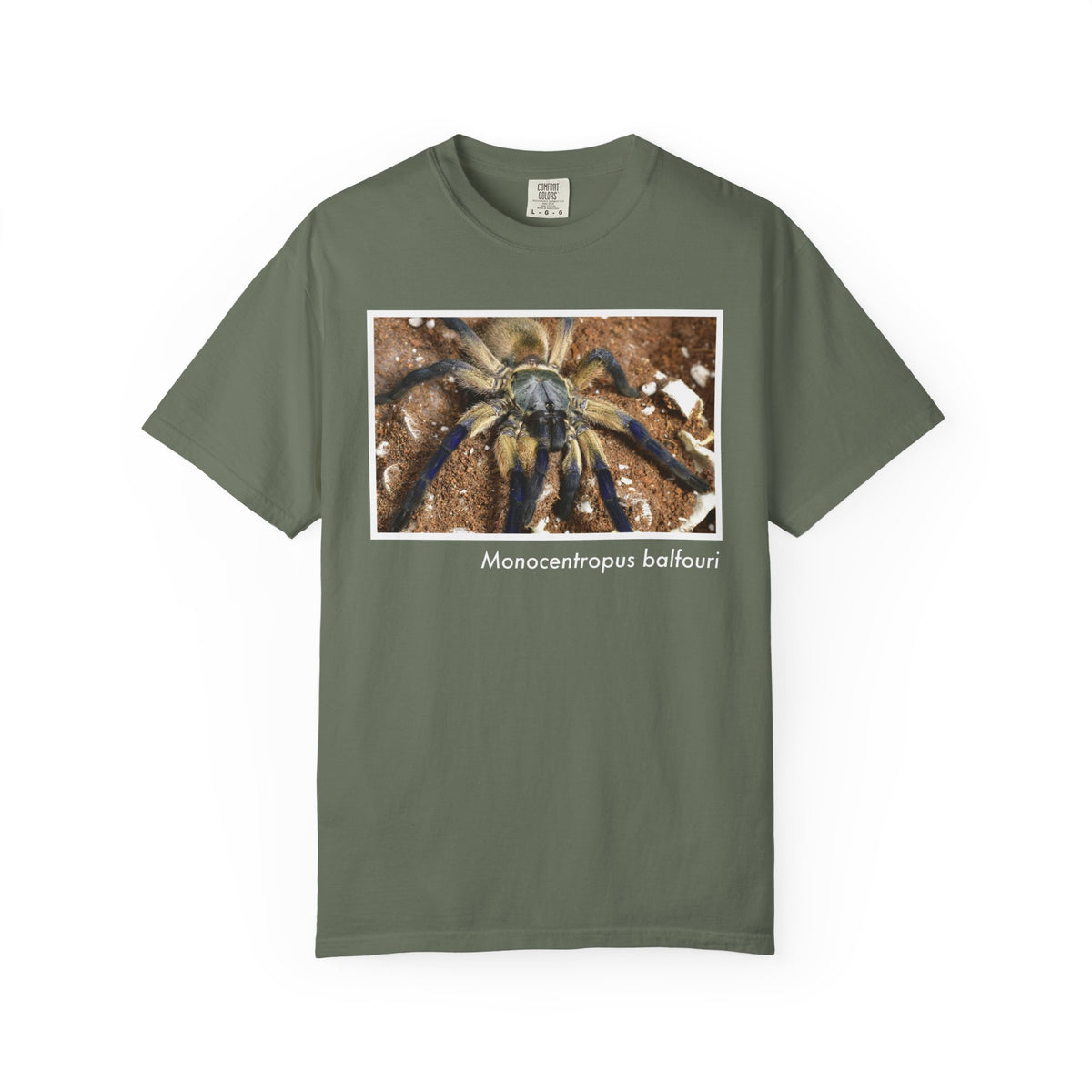 Unisex Monocentropus balfouri T-shirt