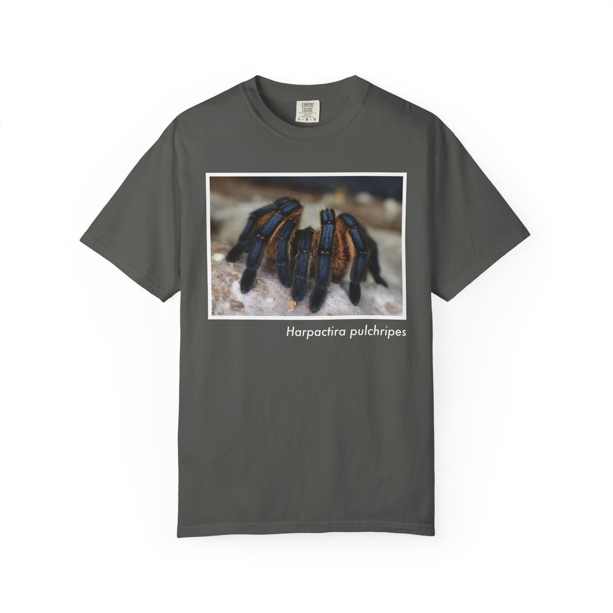 Unisex Harpactira pulchripes T-shirt