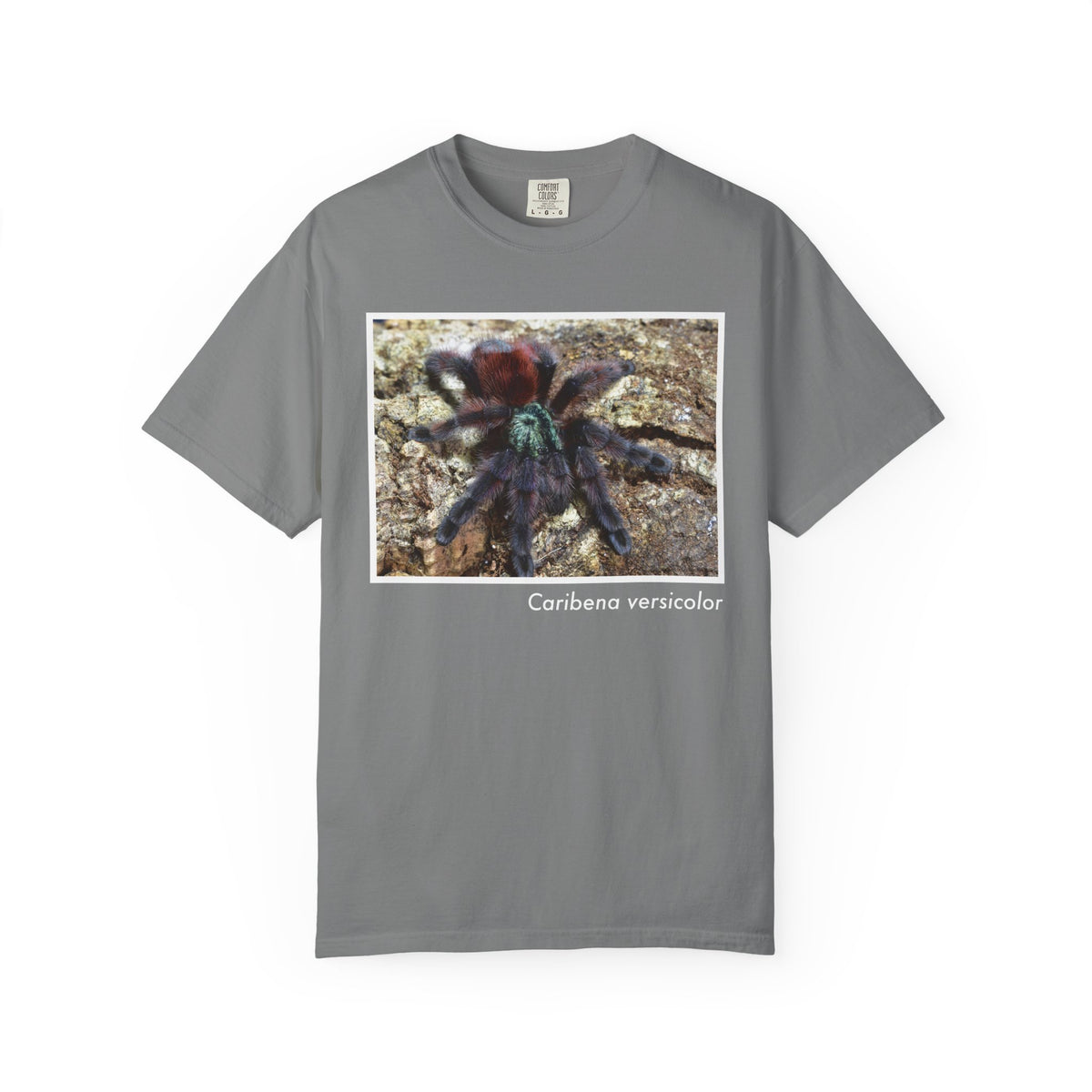 Unisex Caribena versicolor T-shirt