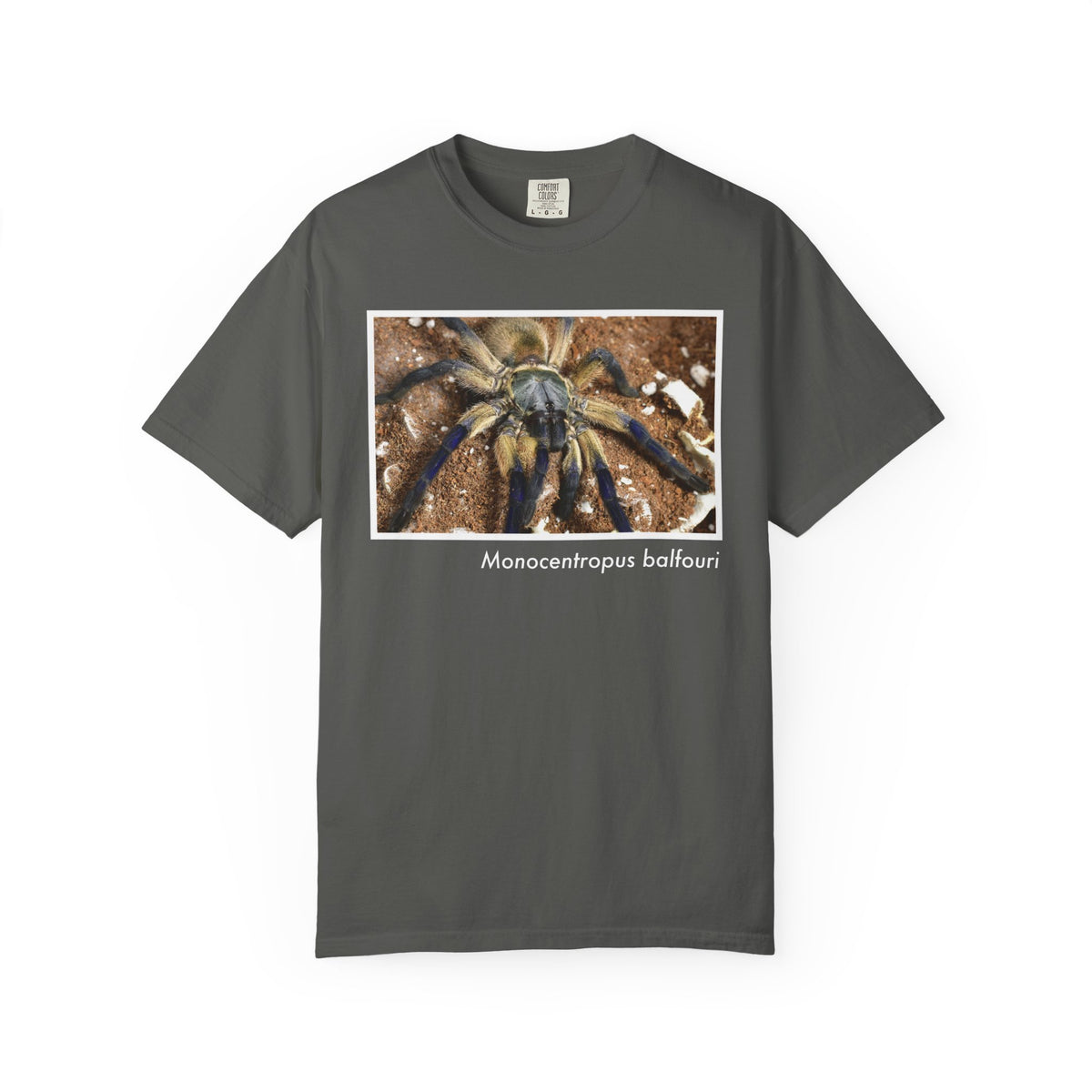 Unisex Monocentropus balfouri T-shirt