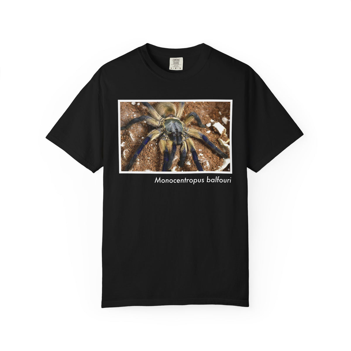 Unisex Monocentropus balfouri T-shirt