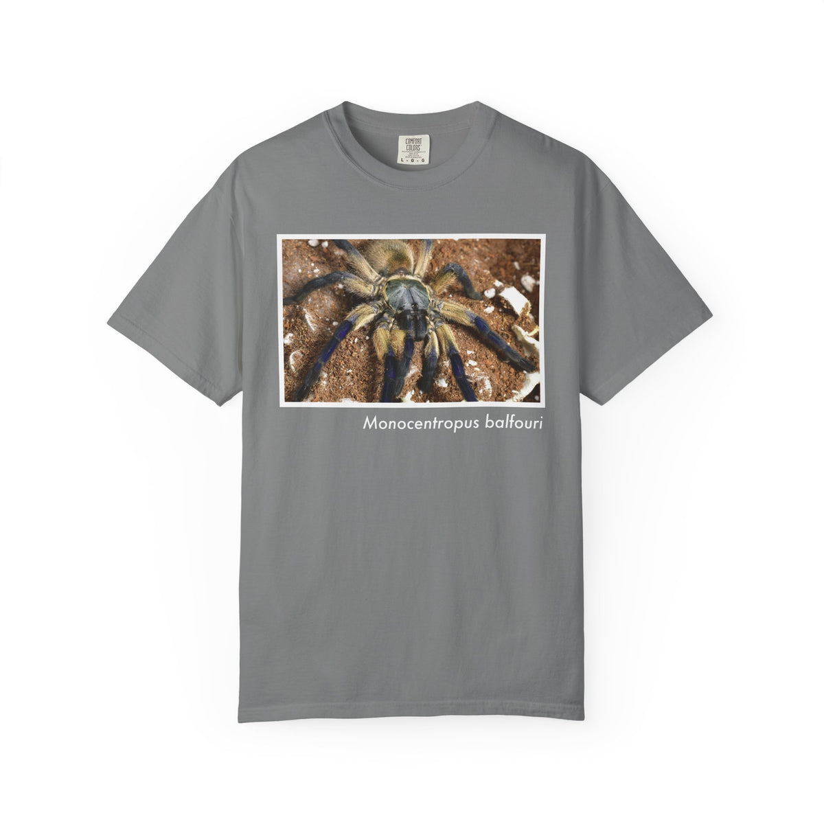 Unisex Monocentropus balfouri T-shirt