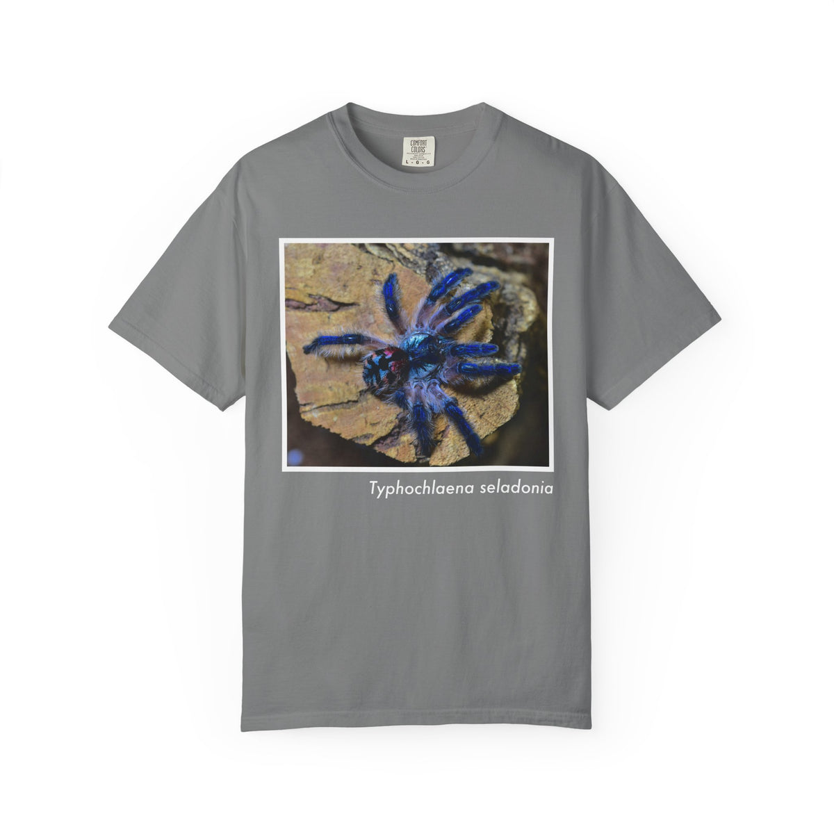 Unisex Typhochlaena seladonia T-shirt