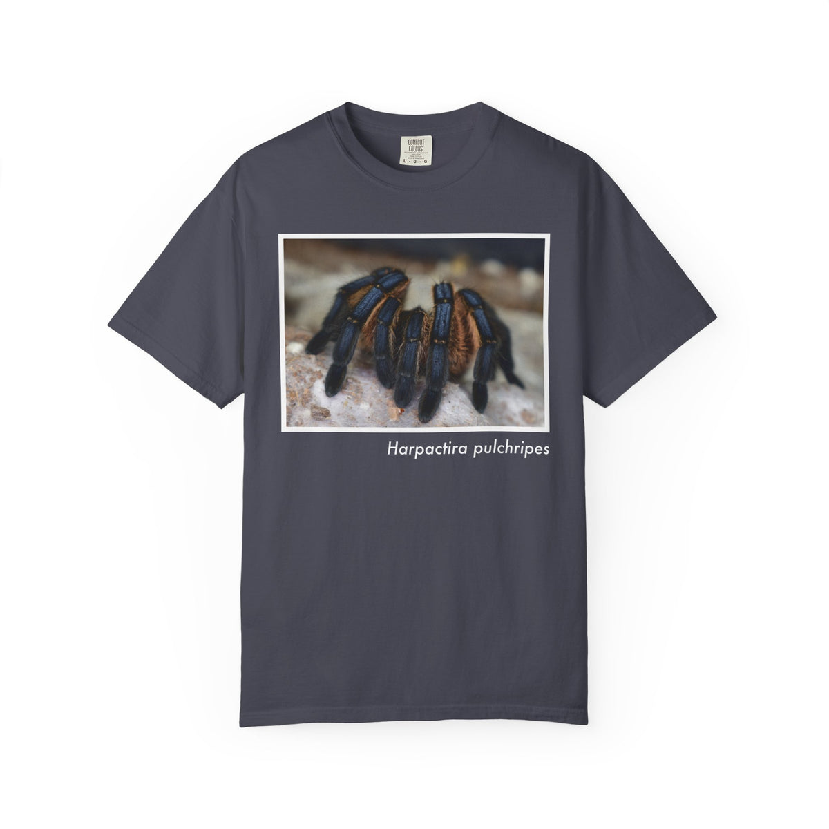 Unisex Harpactira pulchripes T-shirt