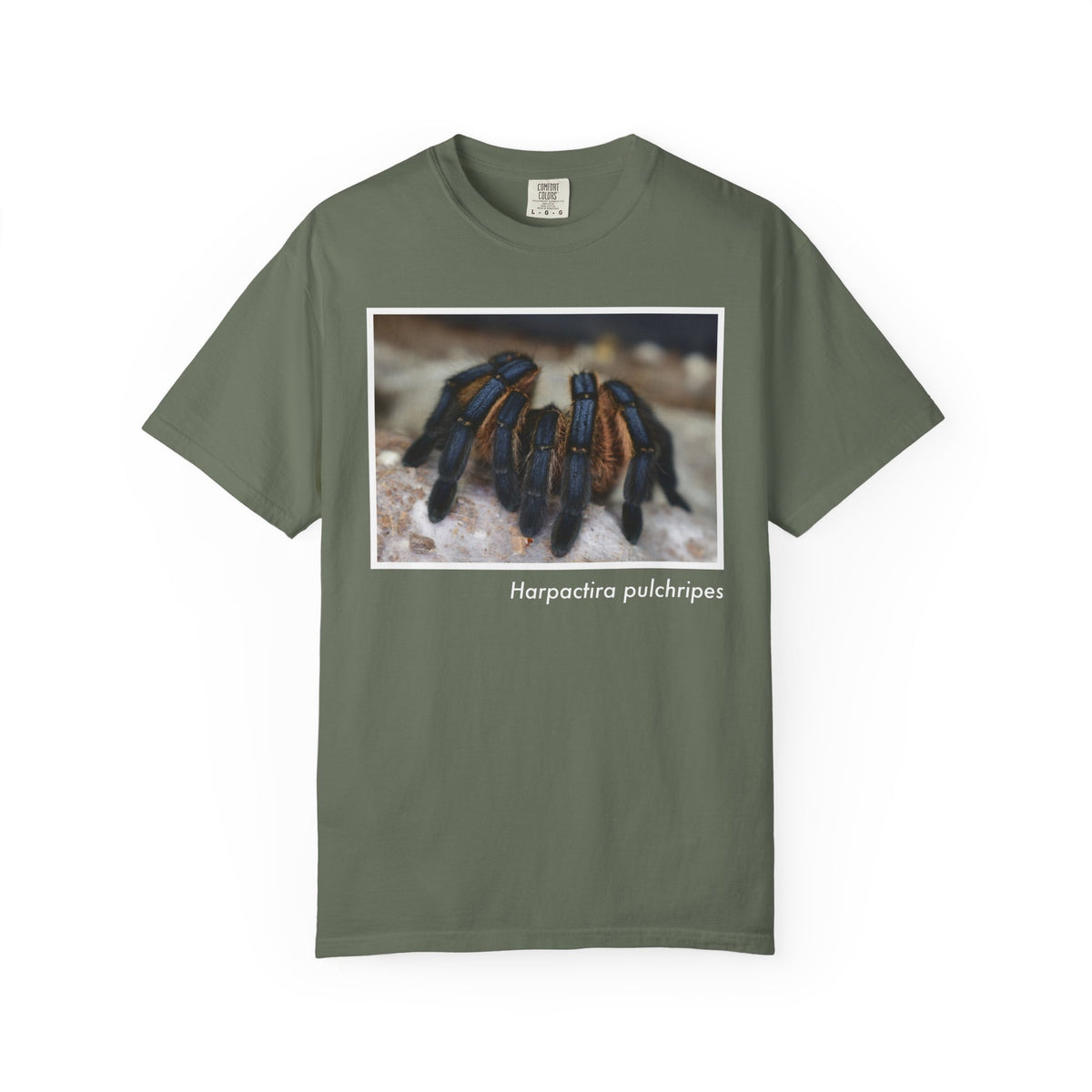 Unisex Harpactira pulchripes T-shirt